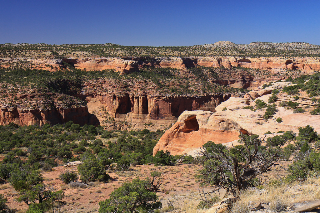 Rattlesnake Canyon from First ARch Overlook - Rattlesnake Canyon Arches