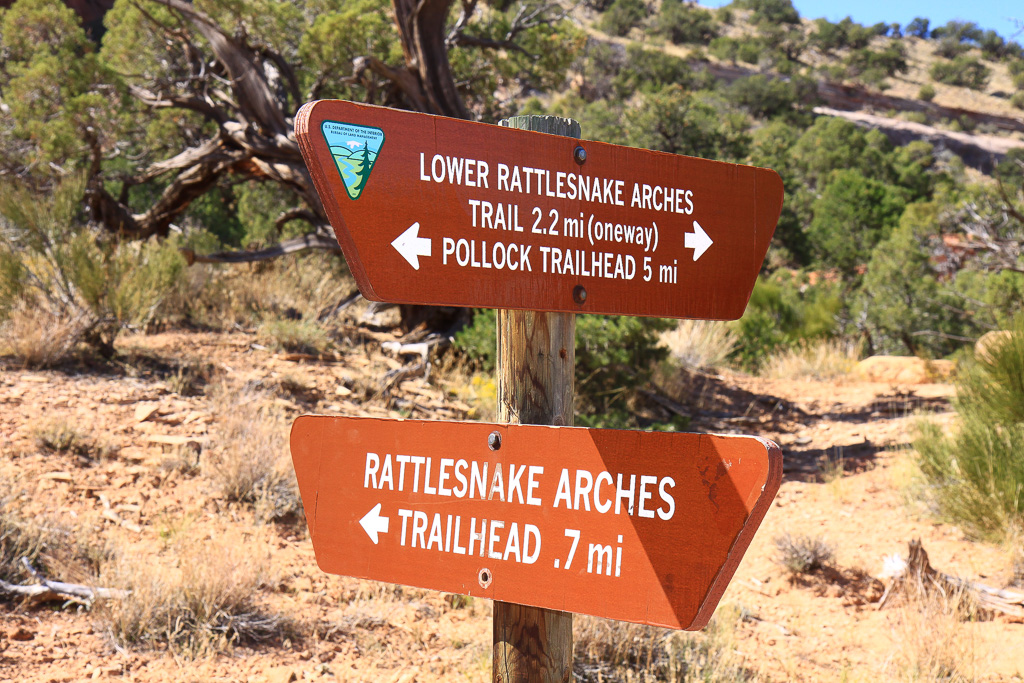Back at the trail junction/follow Lower Rattlesnake Arches Trail - Rattlesnake Canyon Arches