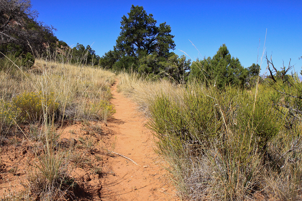 Hiking through the grasses - Rattlesnake Canyon Arches