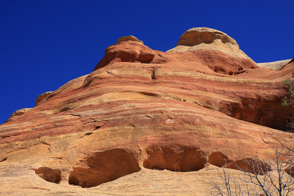 Colorful sandstone - Rattlesnake Canyon Arches