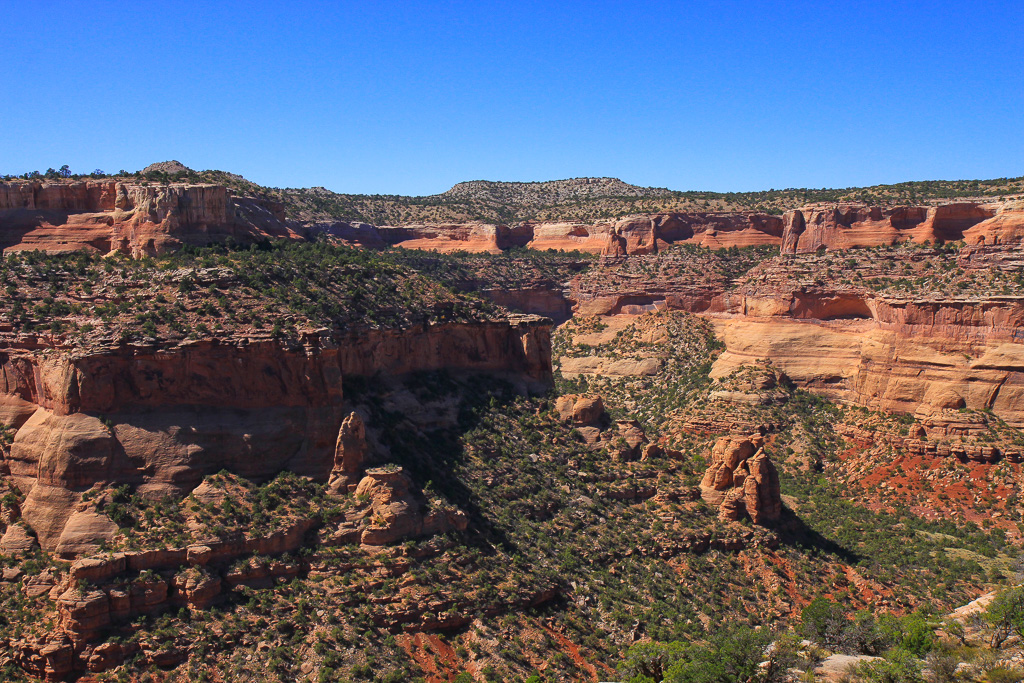 Rattlesnake Canyon from Lower Rattlesnake Arches Trail - Rattlesnake Canyon Arches