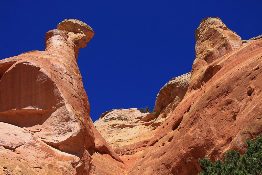 Awesome sandstone pillars - Rattlesnake Canyon Arches