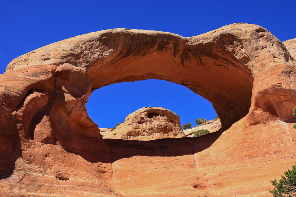 Rainbow, or Cedar Tree, Arch - Rattlesnake Canyon Arches