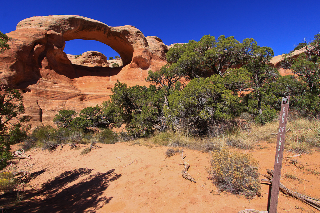 End of the trail. Return the way you came or climb up through the arch for a short cut - Rattlesnake Canyon Arches