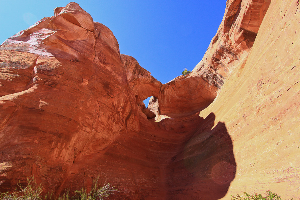 Small arch along the trail - Rattlesnake Canyon Arches