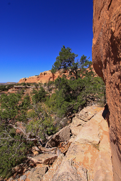 Narrow trail section - Rattlesnake Canyon Arches