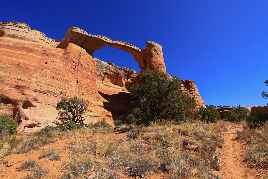 Lower Trail and Akiti Arch - Rattlesnake Canyon Arches