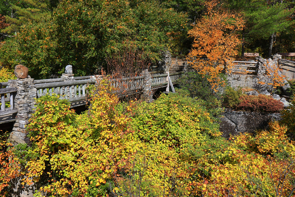Coopers Rock Overlook - Ravens Rock, West Virginia