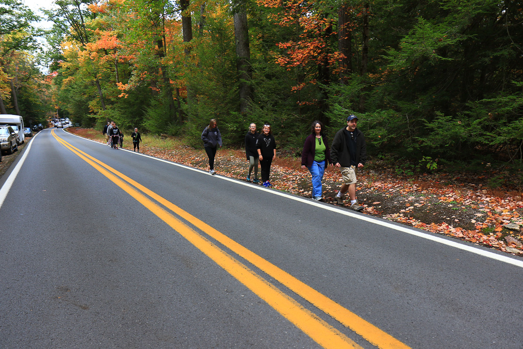 Hiking along the road - Ravens Rock, West Virginia