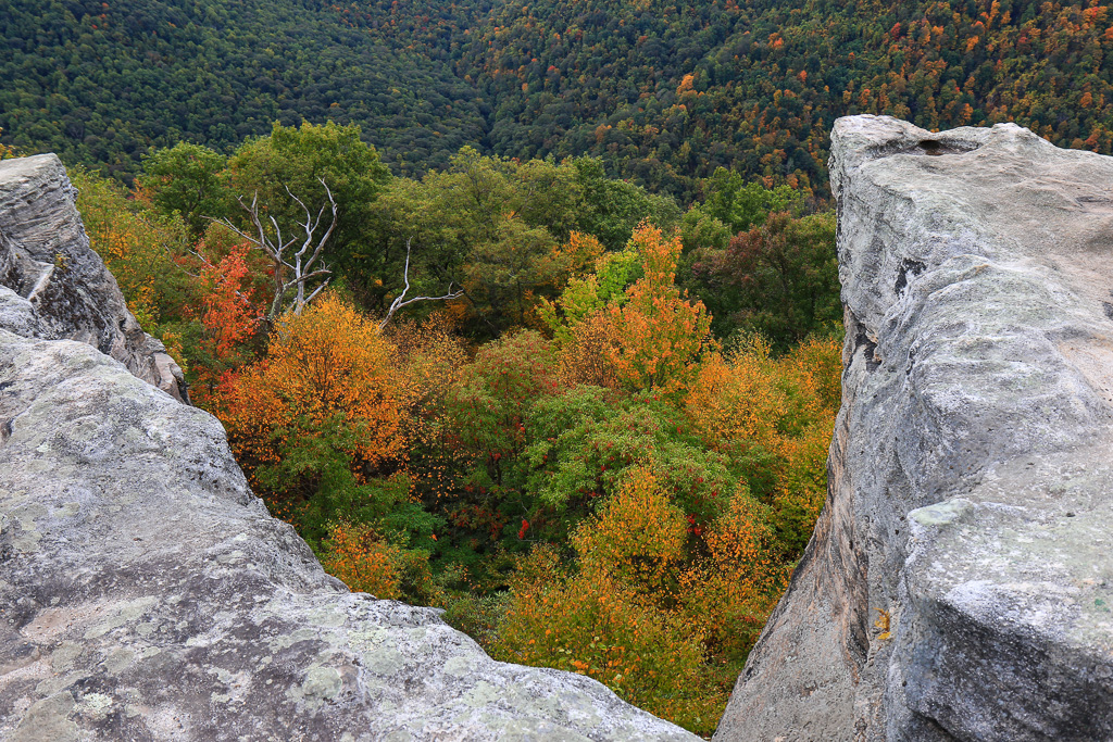 Outcrop and fall color - Ravens Rock, West Virginia