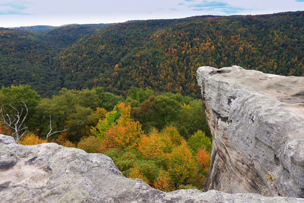 Ravens Rock and Cheat River Gorge - Ravens Rock, West Virginia