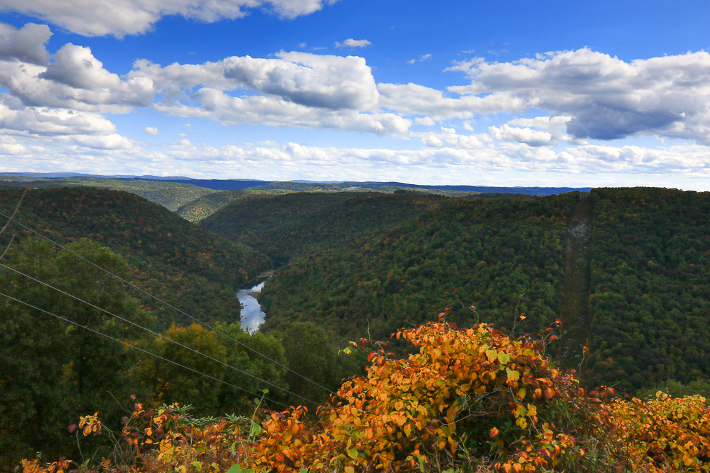 Cheat River and gorge from Ravens Rock - Ravens Rock, West Virginia