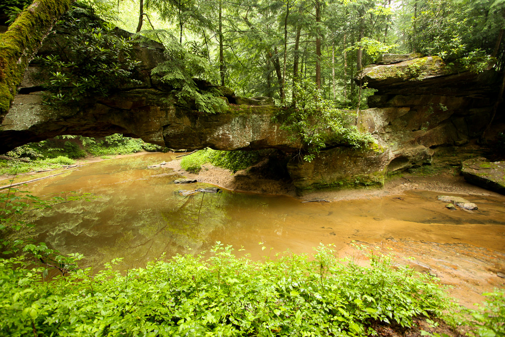 Rock Bridge over Swift Camp Creek - Red River Gorge, Kentucky