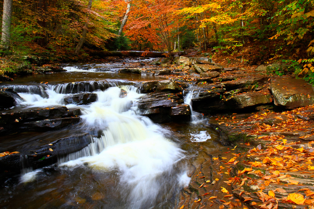 Cascade on Kitchen Creek in Glen Leigh - Ricketts Glen State Park