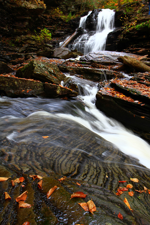 Shawnee Falls - Ricketts Glen State Park