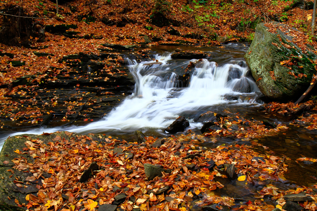 Cascades in Glen Leigh - Ricketts Glen State Park