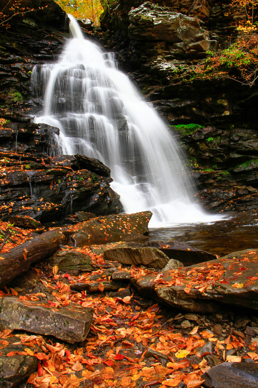 Ozone Falls - Ricketts Glen State Park