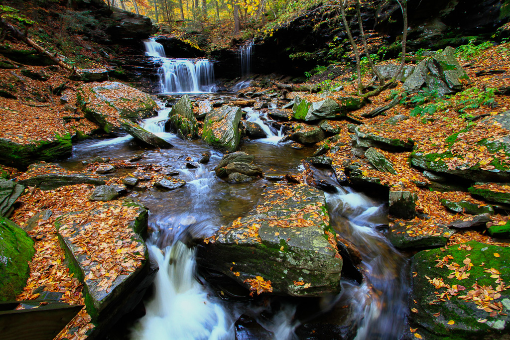 R.B. Ricketts Falls - Ricketts Glen State Park