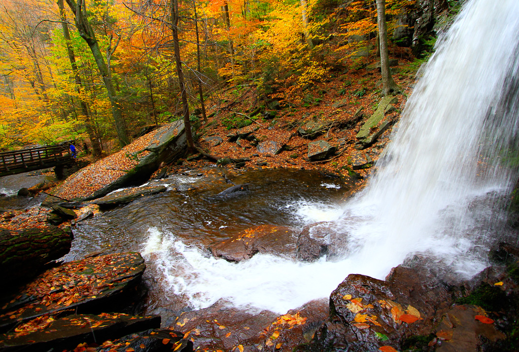 Under B. Reynolds Falls - Ricketts Glen State Park