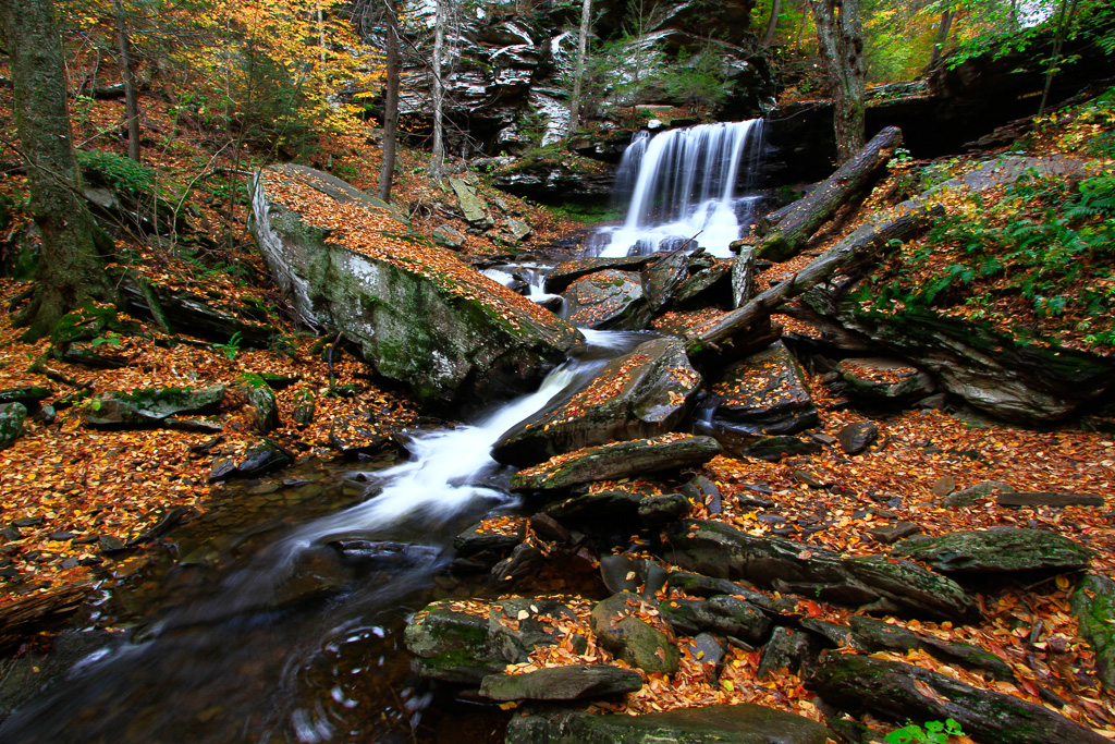 B. Reynolds Falls - Ricketts Glen State Park