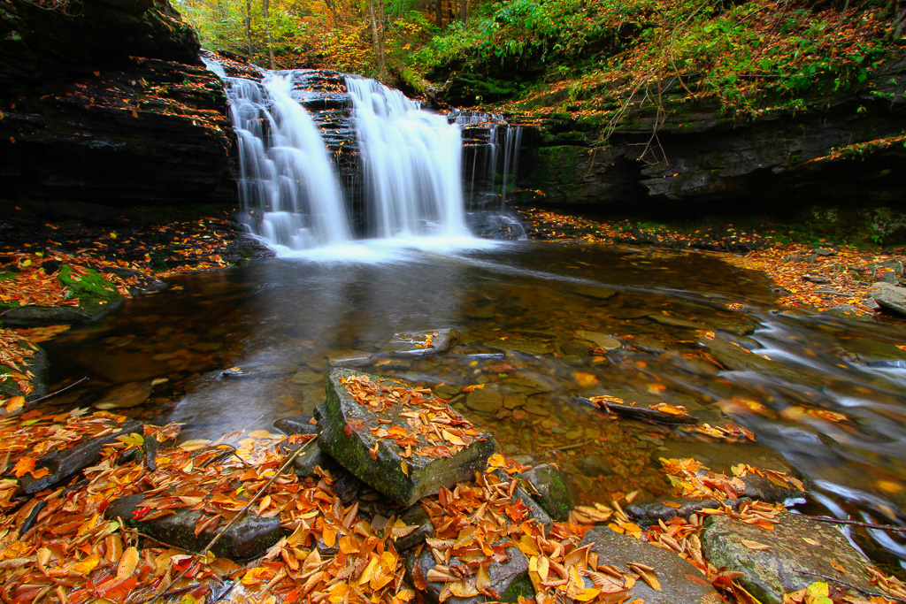 Harrison Wrights Falls - Ricketts Glen State Park