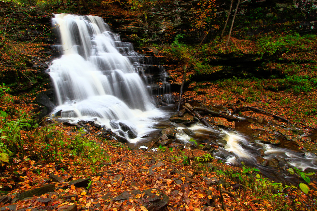 Erie Falls - Ricketts Glen State Park