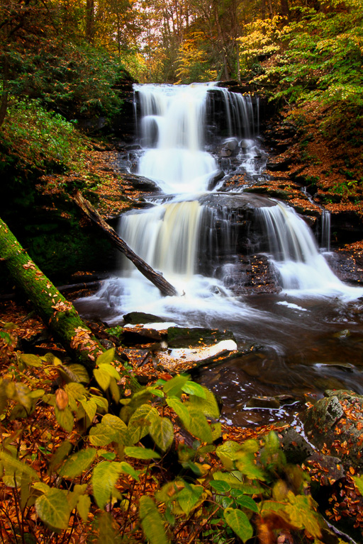 Tuscarora Falls - Ricketts Glen State Park