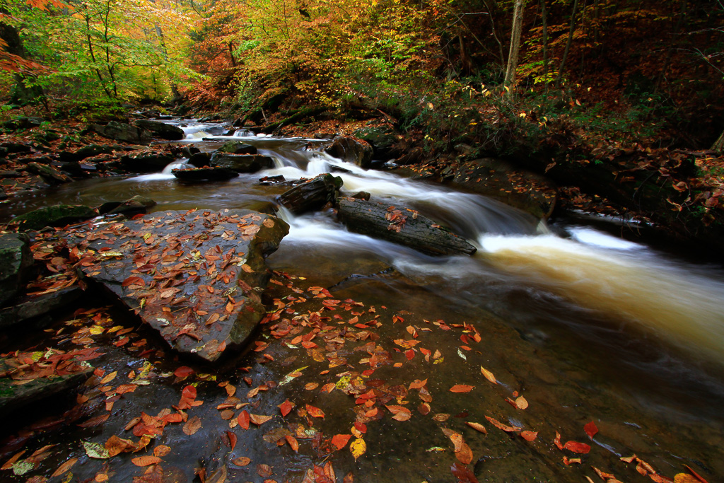 Ganoga Glen - Ricketts Glen State Park