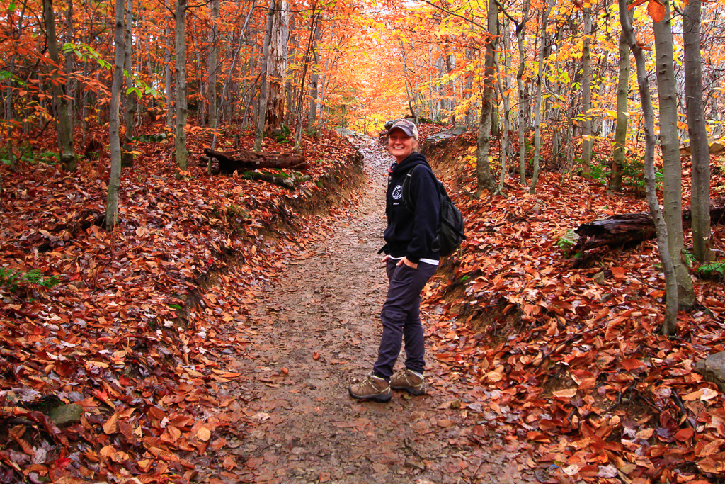 Ricketts Glen State Park, Pennsylvania 2014