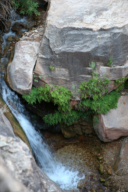 Pipe Creek cascading through the canyon - Grand Canyon National Park, Arizona