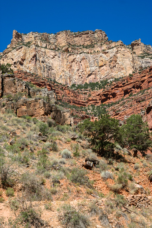 South Rim view - Grand Canyon National Park, Arizona