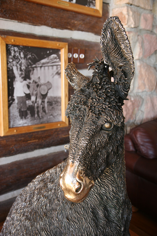 Nicely polished nose - everyone rubs Brighty for good luck - Grand Canyon National Park, Arizona