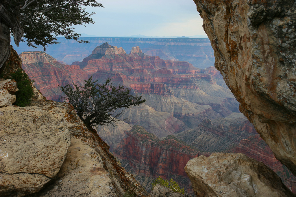 Window on the North Rim - Grand Canyon National Park, Arizona