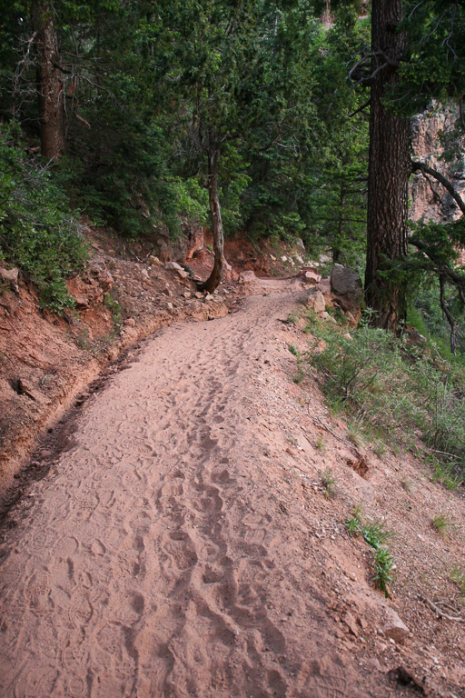 North Kaibab sandy trail - Grand Canyon National Park, Arizona