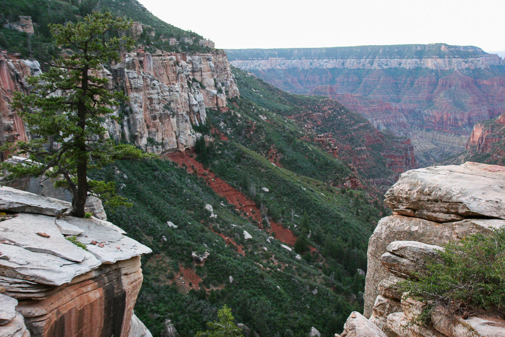 North Kaibab View - Grand Canyon National Park, Arizona