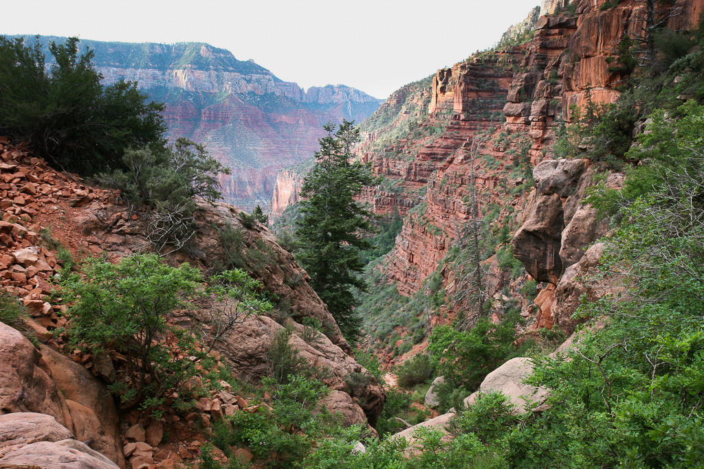 Beautiful canyon views - Grand Canyon National Park, Arizona