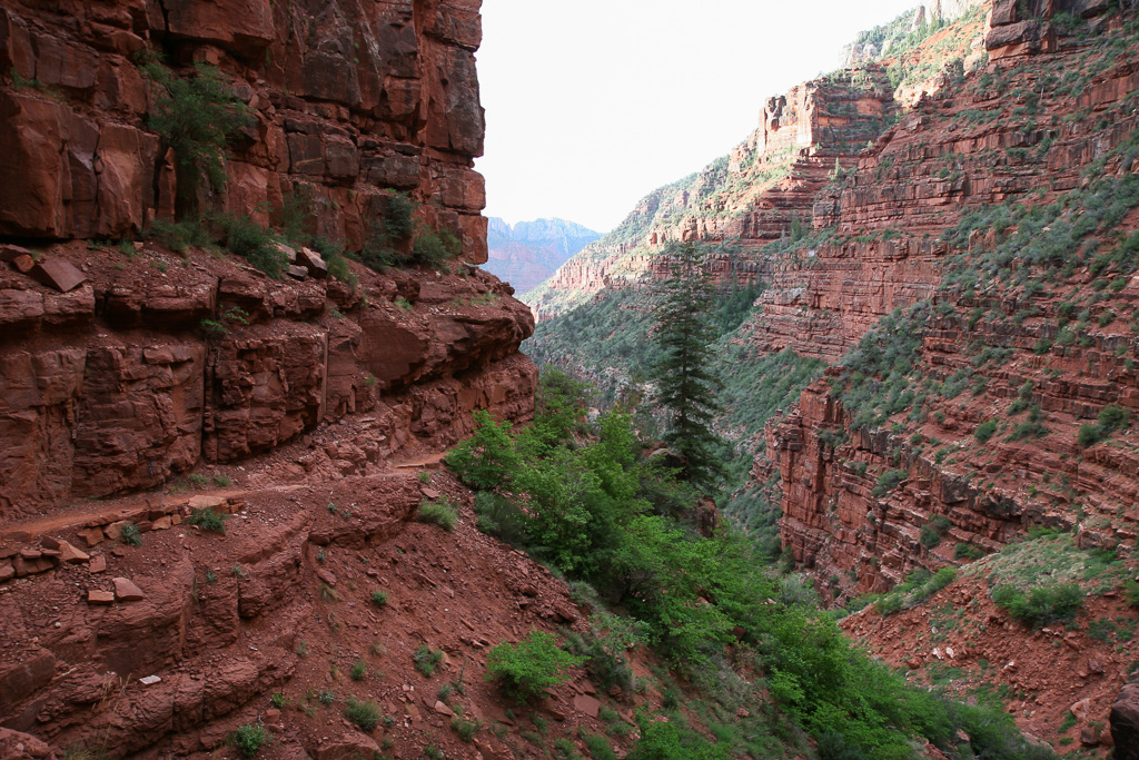 North Kaibab - Grand Canyon National Park, Arizona