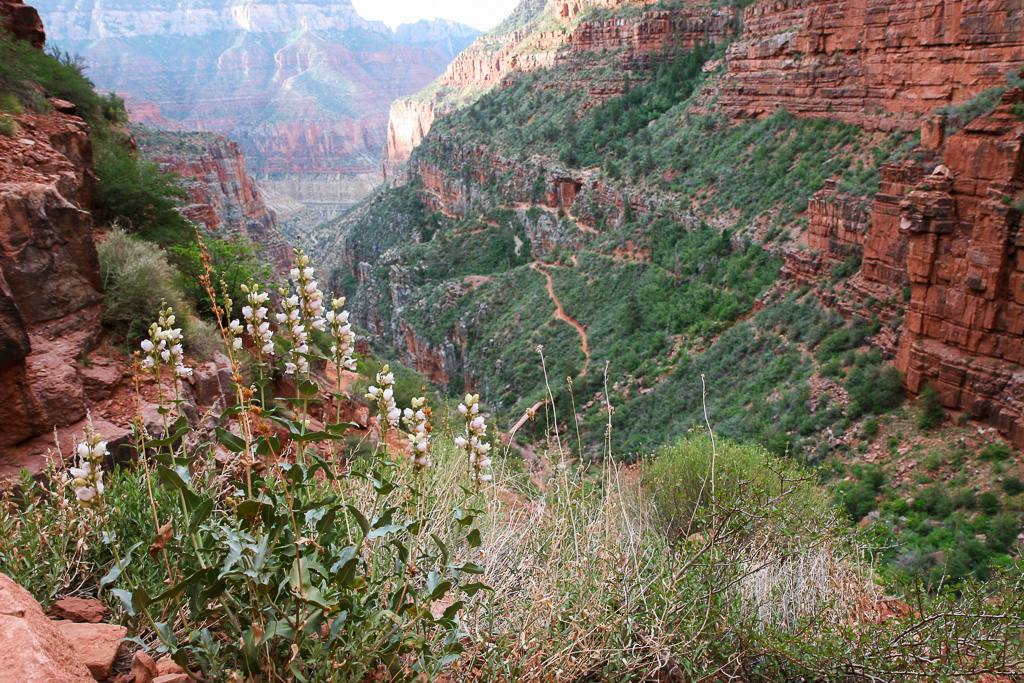 Hiking deeper - Grand Canyon National Park, Arizona