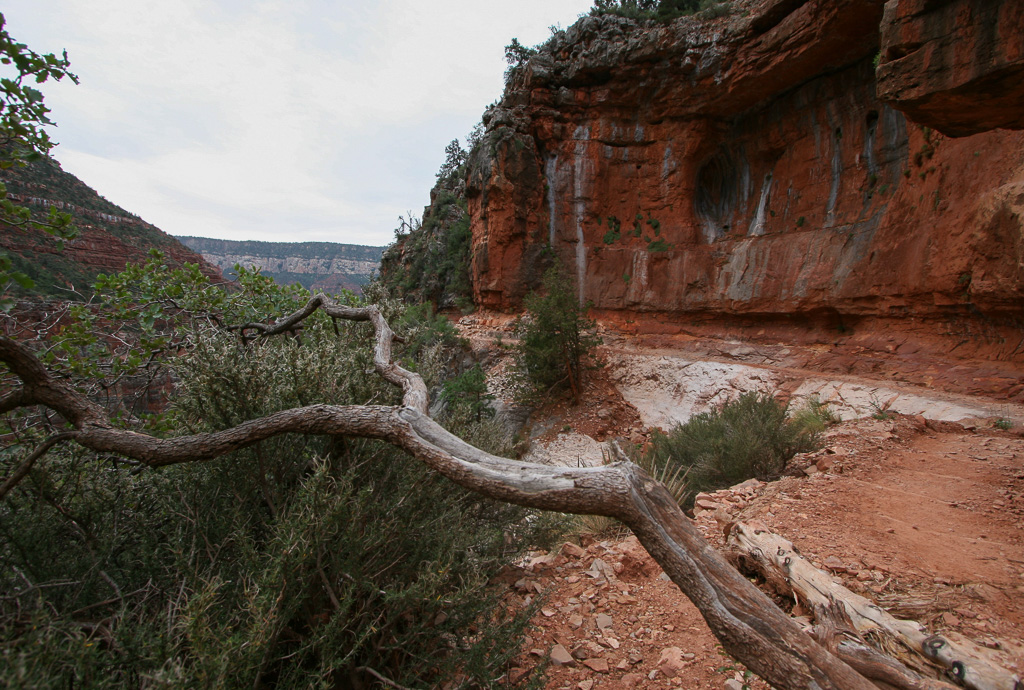 Redwall - Grand Canyon National Park, Arizona