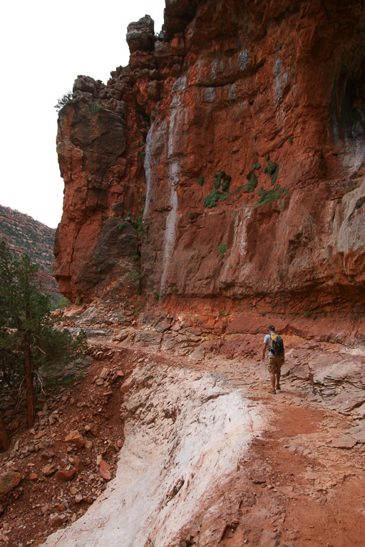 Berg in the Redwall section - Grand Canyon National Park, Arizona