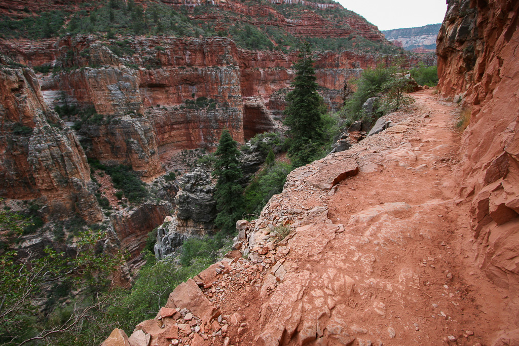 On the edge - Grand Canyon National Park, Arizona