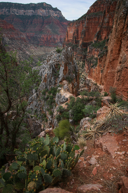 Prickly Pear and The Needle - Grand Canyon National Park, Arizona