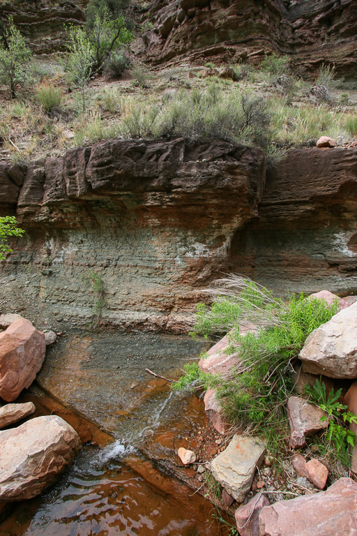 Roaring Spring - Grand Canyon National Park, Arizona