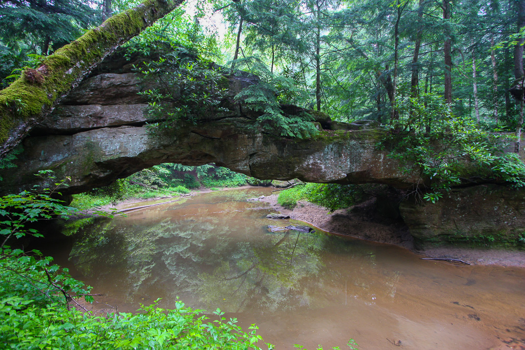 Rock Bridge - Rock Bridge Loop Trail #207