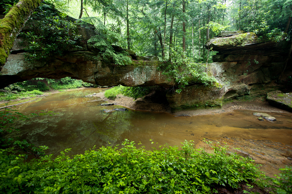Rock Bridge over Swift Camp Creek - Red River Gorge, Kentucky
