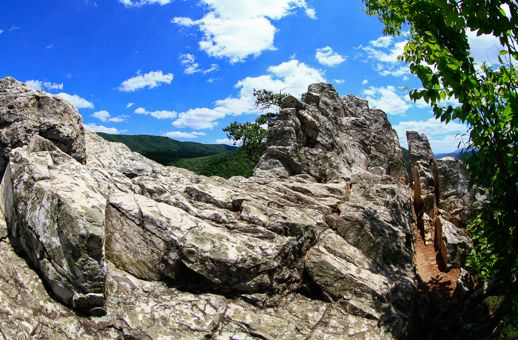 Beautiful view - Seneca Rocks