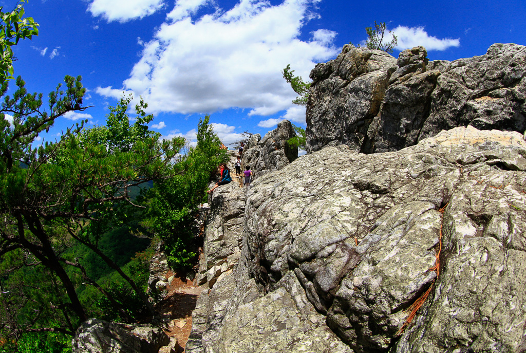 Climbing the rocks - Seneca Rocks