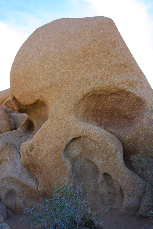 Skull Rock - Joshua Tree National Park