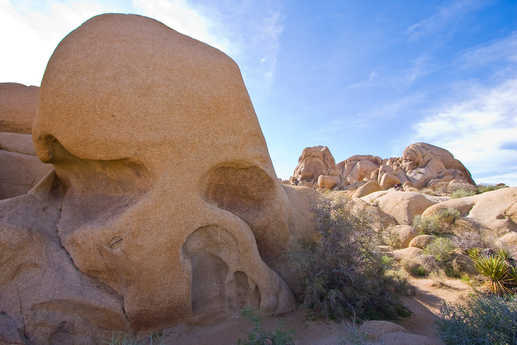 Skull Rock Landscape - Joshua Tree National Park, California