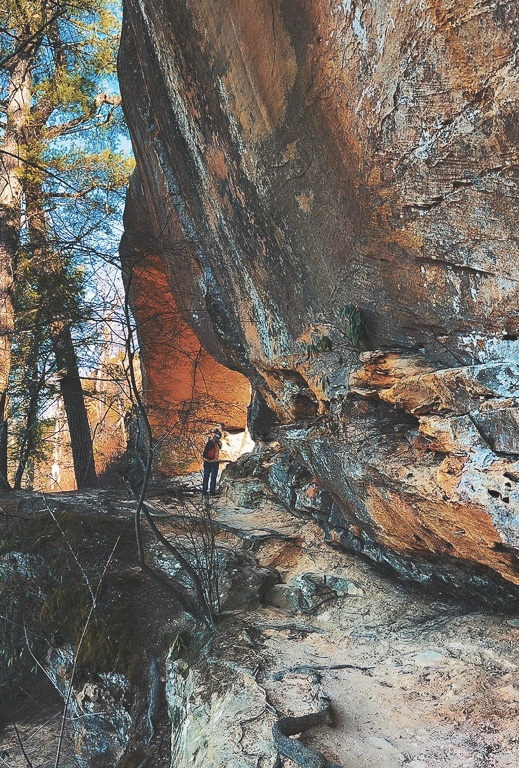 Read under the bridge - Sky Bridge
